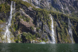 New Zealand 2025 (1 group) (34/66)